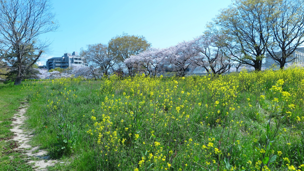 La primavera es una época de cambios en la que no solo cambia el clima, sino que también cambias nuestros hábitos.